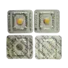 邦樂士鹽酸伐地那非20mg 藥板正反面展示